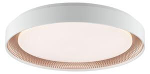 Brilliant - Plafonieră LED dimabilă WALDO LED/36W/230V alb/aur roz + telecomandă