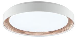 Brilliant - Plafonieră LED dimabilă WALDO LED/36W/230V alb/aur roz + telecomandă