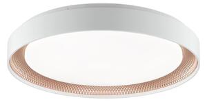Brilliant - Plafonieră LED dimabilă WALDO LED/36W/230V alb/aur roz + telecomandă