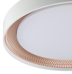 Brilliant - Plafonieră LED dimabilă WALDO LED/24W/230V alb/aur roz + telecomandă
