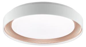 Brilliant - Plafonieră LED dimabilă WALDO LED/24W/230V alb/aur roz + telecomandă