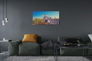 Tablouri canvas flori zebră