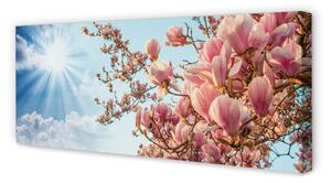 Tablouri canvas Magnolia cer soare