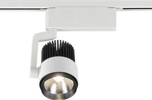Trio Lighting Spot LED Radiator pentru DUOline, alb mat, CCT, reglabil, Alb, Camera de zi / sufragerie, Metal, Modern