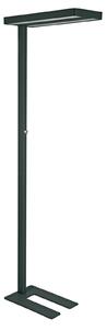 Maul Lampadar LED MAULjaval, negru, 196 cm, bază dimabilă, reglabil, Negru, Studiu / Birou, Aluminiu, Modern