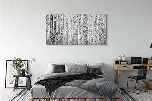 Tablouri canvas Mesteacan alb-negru