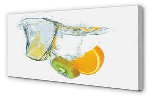 Tablouri canvas kiwi orange Water