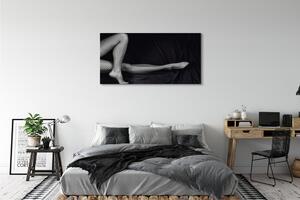 Tablouri canvas picioare Fishnet negru și alb