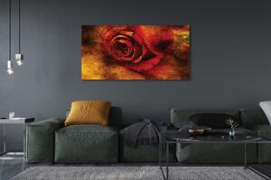Tablouri canvas Imaginea de trandafir