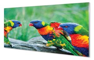 Tablouri pe sticlă copac papagal colorat