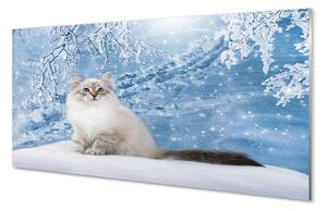 Tablouri pe sticlă pisică de iarnă