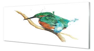 Panouri de sticlă papagal pictat colorat
