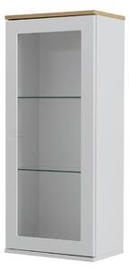 Vitrină cu ușă Tenzo Dot, înălțime 95 cm, alb