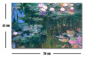 Tablou Canvas Dupa Ploaie, Multicolor, 70 x 45 cm