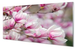 Tablouri acrilice flori de copac