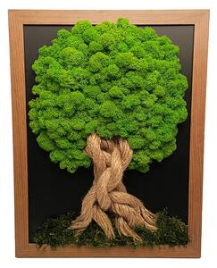 Copac unic cu mușchi - cadru maro închis 34 x 44 cm