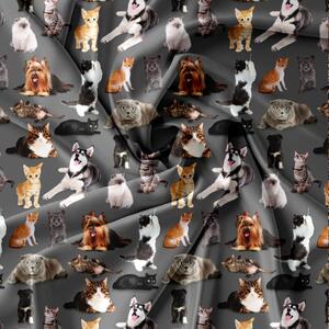 Lenjerie de pat din microfibra DOGS AND CATS gri inchis Dimensiune lenjerie de pat: 70 x 80 cm | 140 x 200 cm