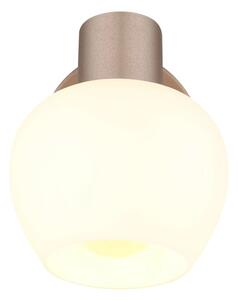 Globo 54662-1 - Aplică de perete cu spot EILEEN 1xE27/40W/230V