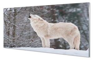 Tablouri pe sticlă pădure de iarnă Wolf