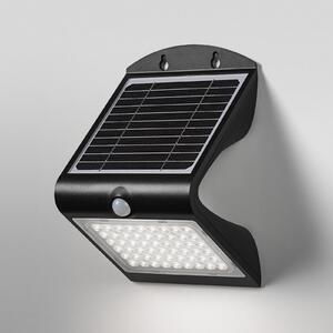 OSRAM Aplică de perete LED ENDURA FLOOD BUTTERFLY, 4 W senzor, Negru, Plastic, Modern, Lumini solare