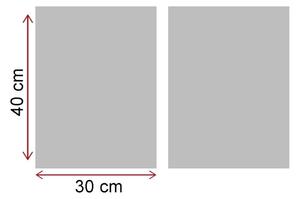 Tablou Papadie, Alb - Negru, 40x62 cm, 2 bucăți