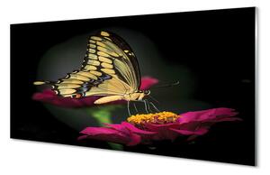 Tablouri pe sticlă Fluture pe o floare