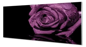 Tablouri pe sticlă trandafir violet