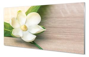 Tablouri pe sticlă magnolie alb