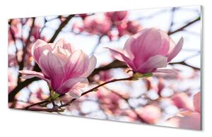 Tablouri pe sticlă copac magnolie