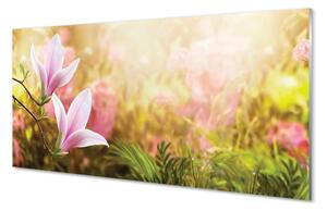 Panouri de sticlă Magnolia copac soare
