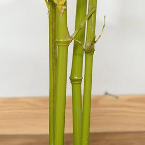 Bambus Artificial in Ghiveci Outsunny, Verde, Inaltime 120cm, Verde | Aosom RO