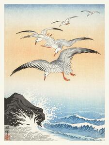 Reproducere Flock of Seagulls (Japandi Vintage) - Ohara Koson, (30 x 40 cm)