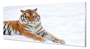 Tablouri pe sticlă Tiger de iarnă
