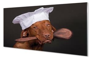 Tablouri acrilice câine bucătar