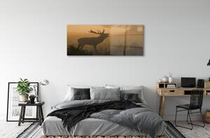 Tablouri pe sticlă Sunrise Deer