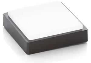 Lindby - Nermin Square LED Aplica de Exterior IP65 Dark Grey/White Lindby