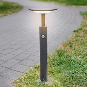Lucande - Fenia LED LED Lampă de Grădină H60 w/Sensor Anthracite