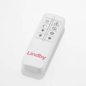 Lindby - Zayd LED Plafonieră Dim. Black