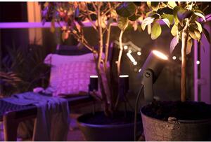 Philips Hue - Lily Spike Spoturi Exterior 3x8W White/Color Amb. Antracit