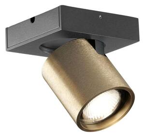 LIGHT-POINT - Focus Mini 1 LED Plafonieră 3000K Brass Light-Point
