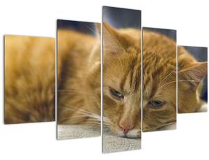 Tablou cu pisica (150x105 cm)