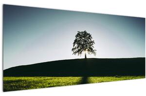 Tablou cu natura - copac (120x50 cm)