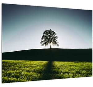 Tablou cu natura - copac (70x50 cm)