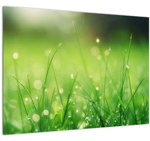 Tablou - roua pe iarbă (70x50 cm)