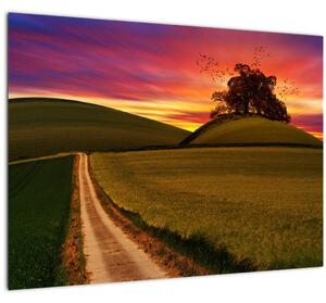 Tablou cu câmp și cerul colorat (70x50 cm)