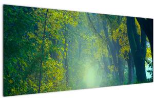 Tablou cu drum dea lungul cu copaci (120x50 cm)
