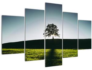 Tablou cu natura - copac (150x105 cm)