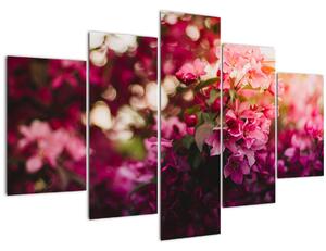 Tablou cu florile tufișului înflorit (150x105 cm)