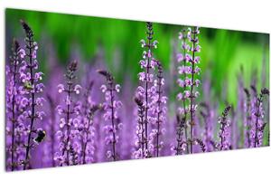 Tablou cu flori de luncă violete (120x50 cm)