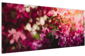 Tablou cu florile tufișului înflorit (120x50 cm)